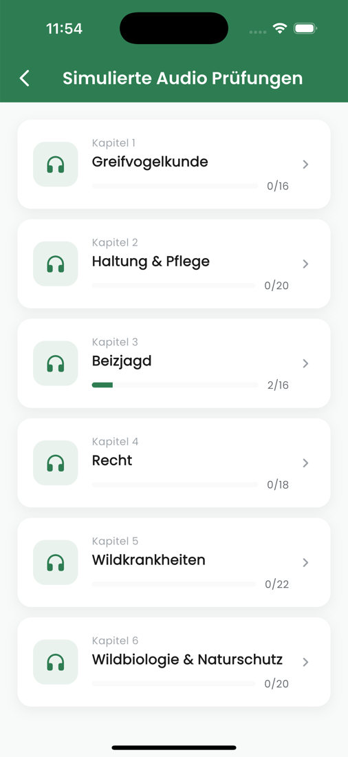 Simulierte Audio-Prüfungen in sechs Kapiteln